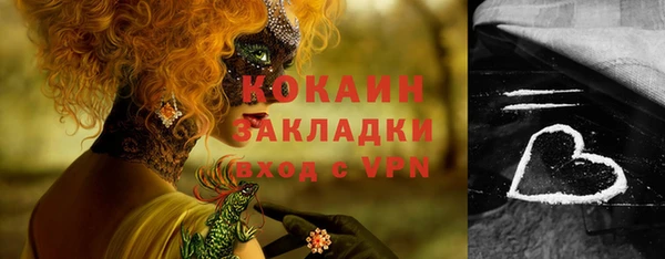 ГАЛЛЮЦИНОГЕННЫЕ ГРИБЫ Горно-Алтайск