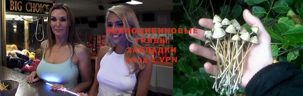 ГАЛЛЮЦИНОГЕННЫЕ ГРИБЫ Горно-Алтайск