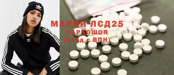 ГАЛЛЮЦИНОГЕННЫЕ ГРИБЫ Горно-Алтайск