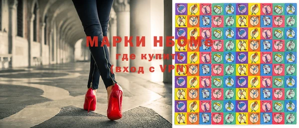 ГАЛЛЮЦИНОГЕННЫЕ ГРИБЫ Горно-Алтайск