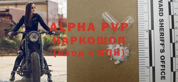 ГАЛЛЮЦИНОГЕННЫЕ ГРИБЫ Горно-Алтайск