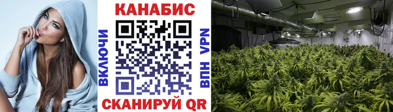 Купить  Лесозаводск  Бошки Шишки MAZAR 